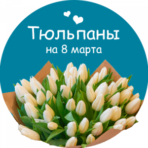 Купить тюльпаны в Шахтах